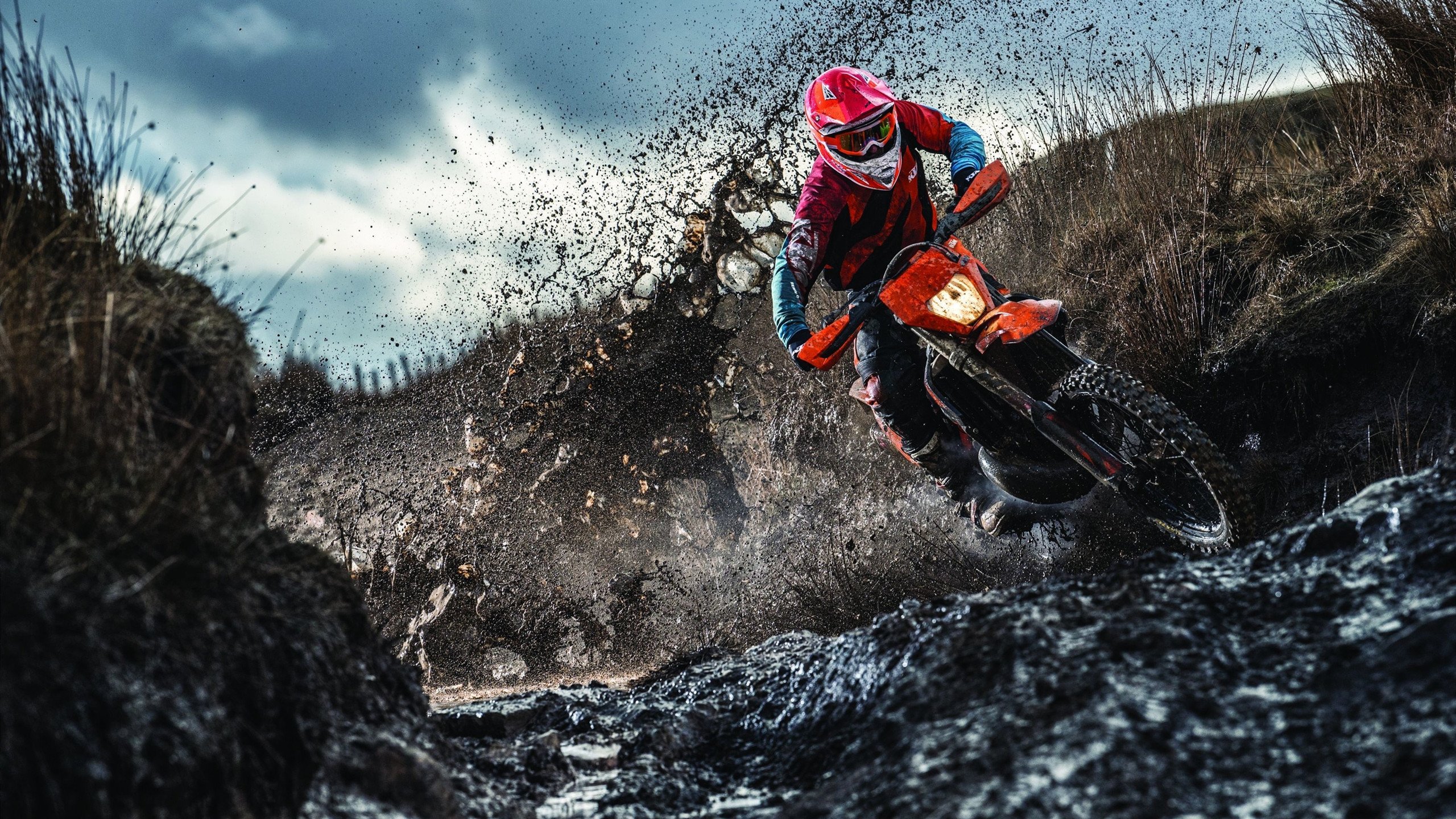 “亚戈·卡尔曼的快速突破与精准传球，成就阿根廷美洲狮队的全能进攻”